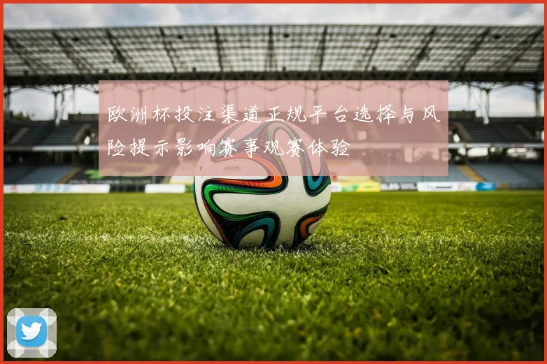 欧洲杯投注渠道正规平台选择与风险提示影响赛事观赛体验