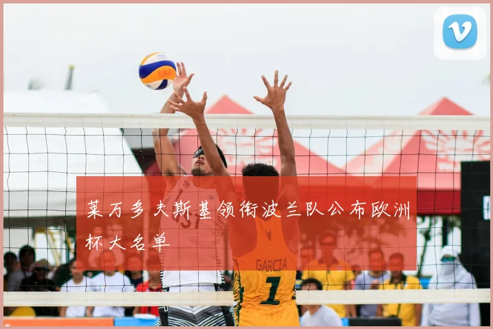 莱万多夫斯基领衔波兰队公布欧洲杯大名单