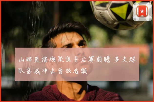 山猫直播线聚焦季后赛前瞻 多支球队备战冲击晋级名额