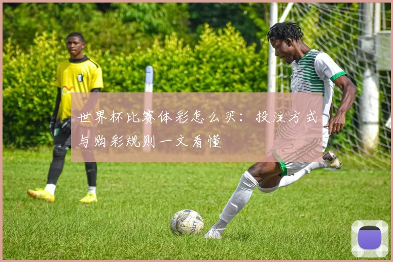 世界杯比赛体彩怎么买：投注方式与购彩规则一文看懂
