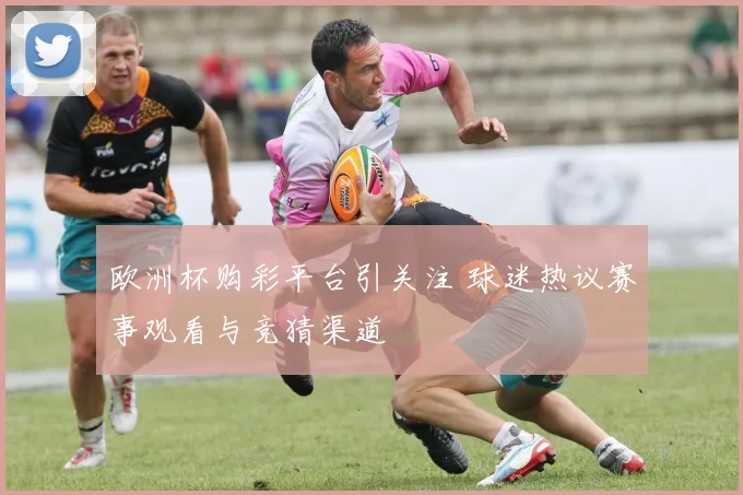 欧洲杯购彩平台引关注 球迷热议赛事观看与竞猜渠道